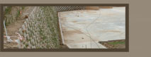 Enlarged view of photo